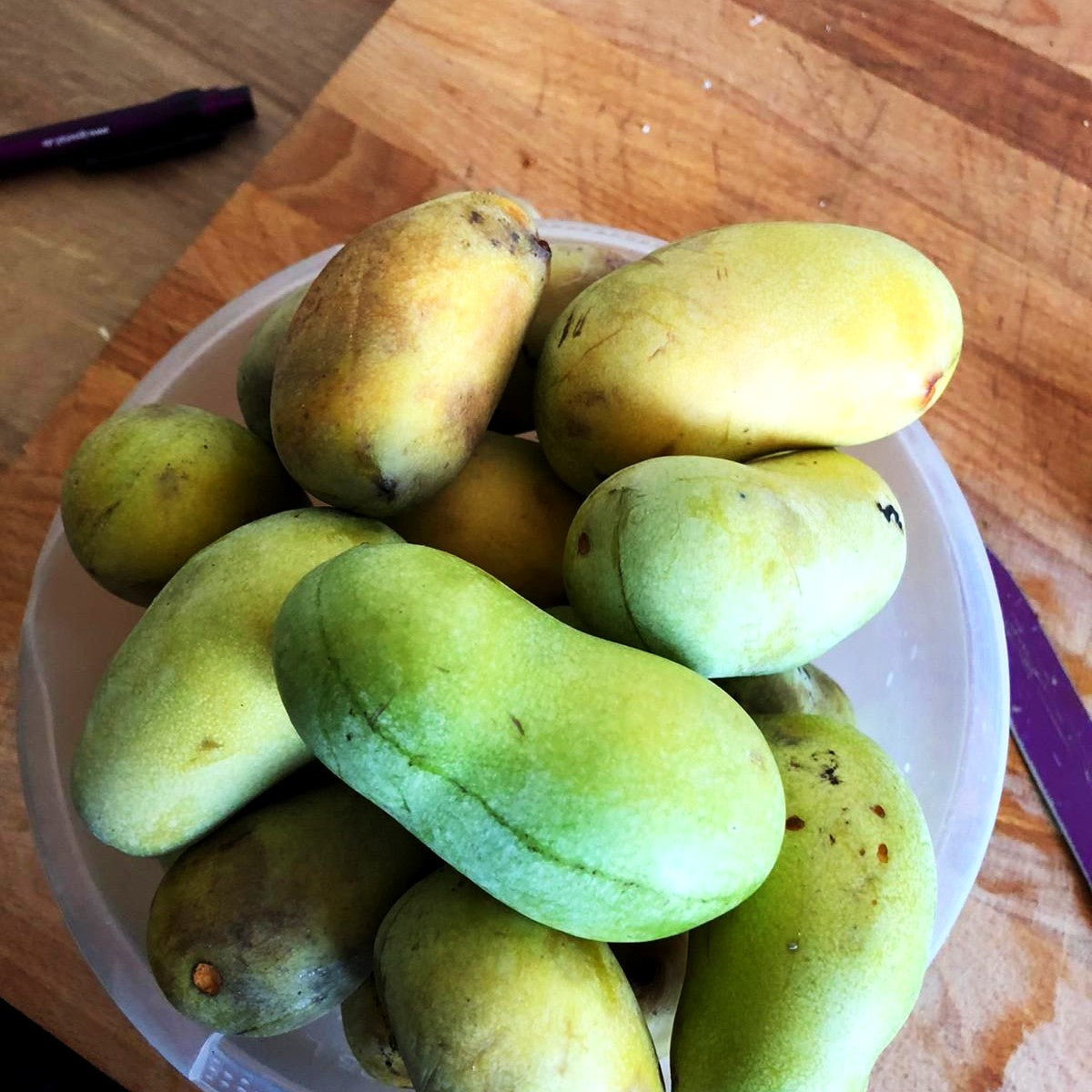 Indianerbanane, Dreilappige Pawpaw (Asimina triloba)