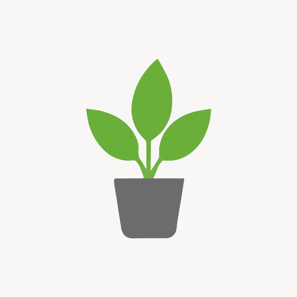 Rotlaubige Glanzmispel 'Dicker Toni' (Photinia fraseri) kaufen –  pflanzenmax.de