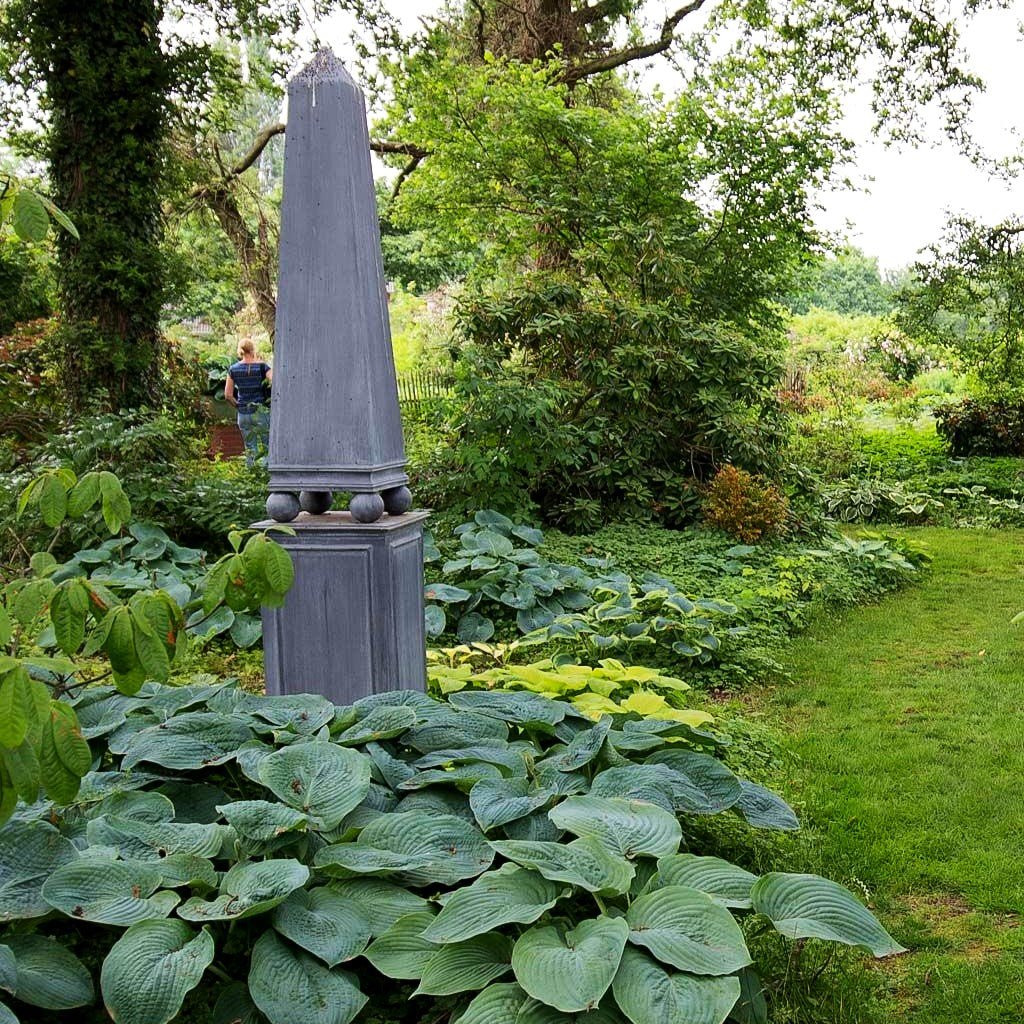 Große Blaublatt-Funkie 'Elegans' (Hosta sieboldiana)