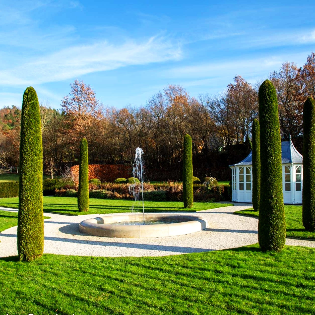 Smaragd-Lebensbaum 'Smaragd' (Thuja occidentalis)