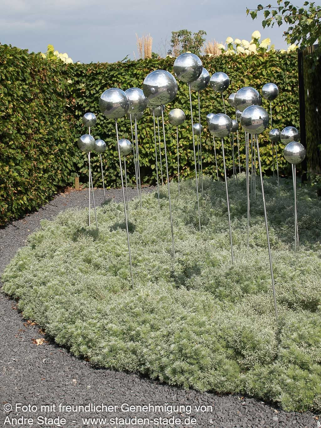 Zwerg-Silber-Raute 'Nana' (Artemisia schmidtiana)