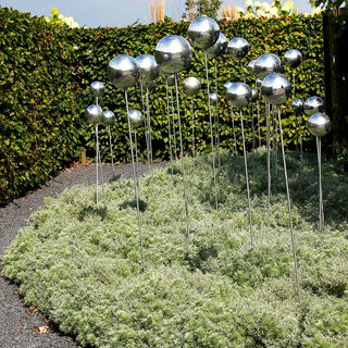 Zwerg-Silber-Raute 'Nana' (Artemisia schmidtiana)